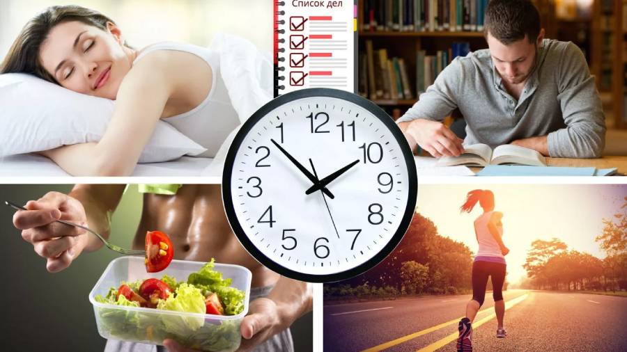 Diet and lifestyle during the recovery period